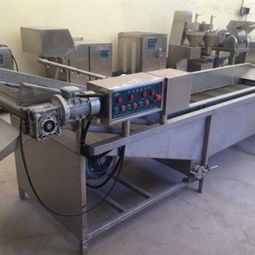 胡蘿卜小型清洗機哪里有 阜新胡蘿卜小型清洗機 泰和食品機械