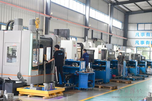 今日綿竹 世嘉液控 液壓小零部件 闖開機(jī)械加工大市場(chǎng)